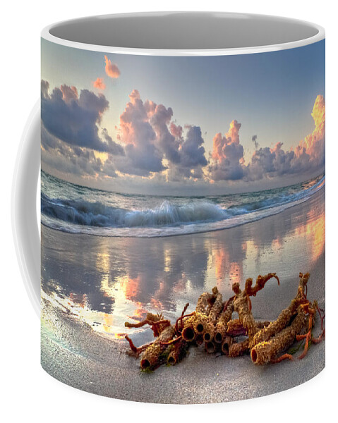 Blowing Coffee Mug featuring the photograph Morning Surf by Debra and Dave Vanderlaan