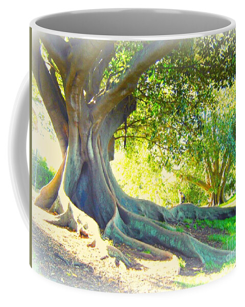 Tree Coffee Mug featuring the photograph Morton Bay Fig Tree by Leanne Seymour