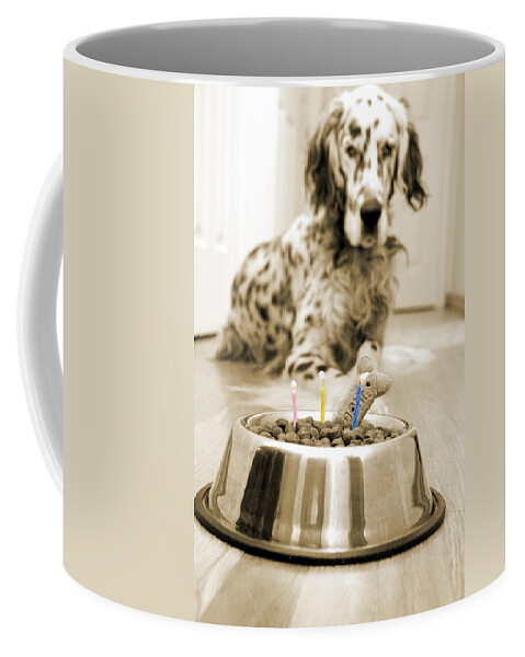 Dog Coffee Mug featuring the photograph My best friend's birthday #1 by Alexey Stiop