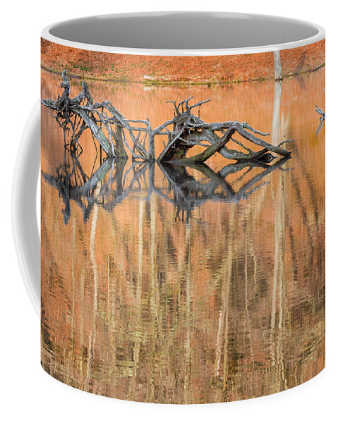 Reflection Coffee Mug featuring the photograph Nature Made #2 by Bill Wakeley