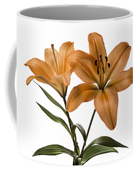 Flower Coffee Mug featuring the photograph Orange Asiatic Lilies #1 by Endre Balogh