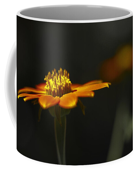 Flower Coffee Mug featuring the photograph Orange Flower #1 by Bradley R Youngberg