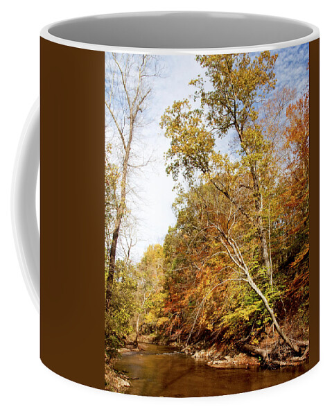 Stream Coffee Mug featuring the photograph Pennsylvania Stream in Autumn #14 by A Macarthur Gurmankin