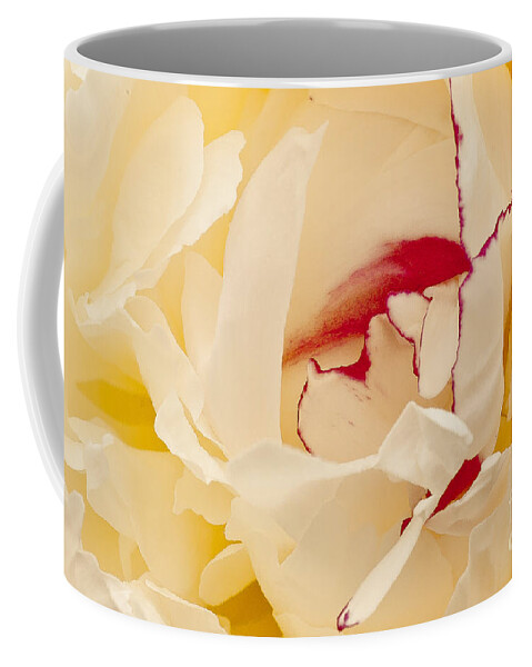 Flower Coffee Mug featuring the photograph Peony by Steven Ralser