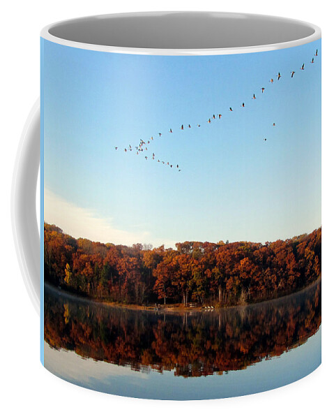 Lake Coffee Mug featuring the photograph Pine Lake Reflection 2 by David T Wilkinson