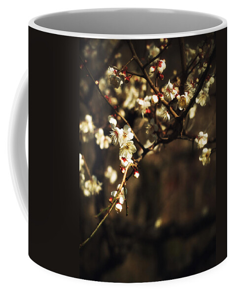 Plum Blossom Coffee Mug featuring the photograph Plum Blossoms #1 by Yuka Kato