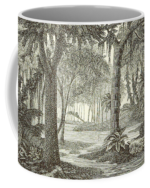 Historic Coffee Mug featuring the photograph Prehistoric Flora, Carboniferous #1 by British Library