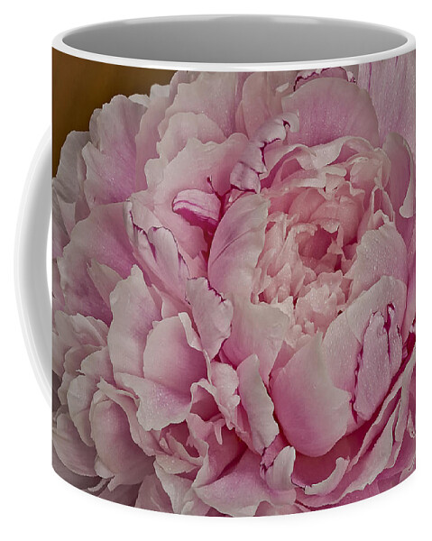 Anniversary Coffee Mug featuring the photograph Pretty In Pink #1 by Susan Candelario