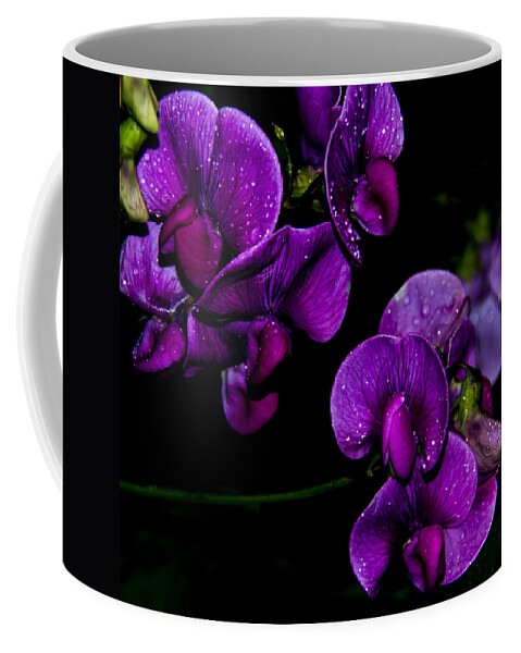 Columbia Coffee Mug featuring the photograph Raindrops by Kathi Isserman