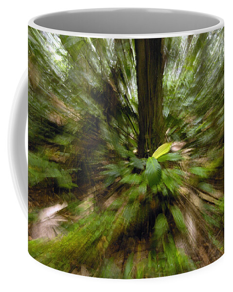 Feb0514 Coffee Mug featuring the photograph Rainforest Andes Mountains Ecuador #1 by Pete Oxford