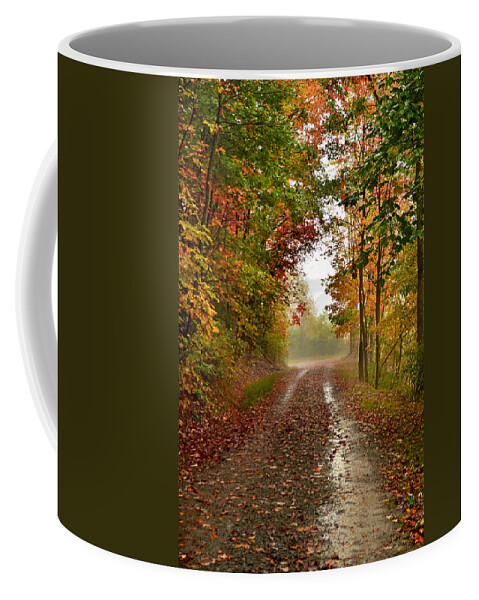 Fall Coffee Mug featuring the photograph Rainy Days #2 by Lisa Lambert-Shank
