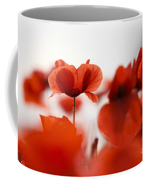 Poppy Coffee Mug featuring the photograph Red Poppy Flowers #1 by Nailia Schwarz