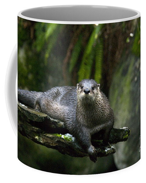 River Otter Coffee Mug featuring the photograph River Otter #1 by Mark Newman