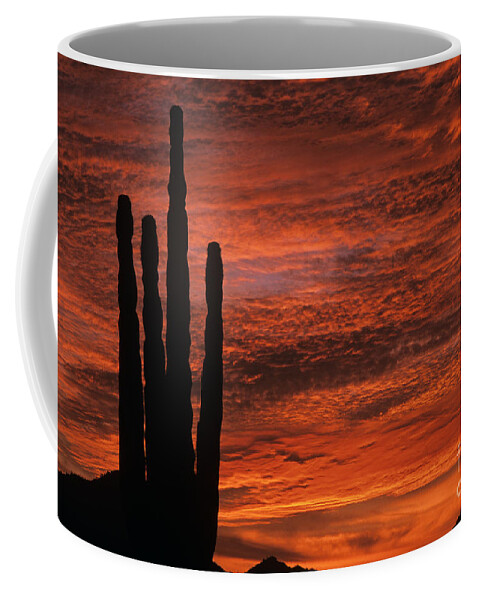 American Southwest Coffee Mug featuring the photograph Silhouetted saguaro cactus sunset at dusk with dramatic clouds #1 by Jim Corwin