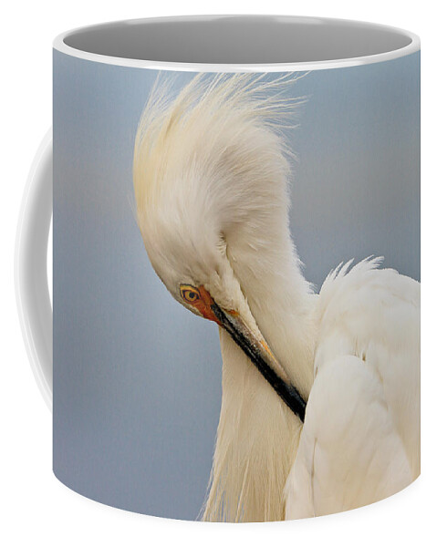 Snowy Egret Coffee Mug featuring the photograph Snowy Egret #1 by Ben Graham