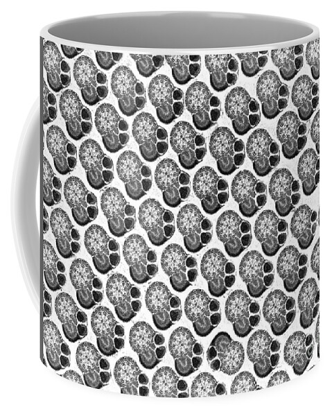 Tem Coffee Mug featuring the photograph Sperm Tails Of A Beetle #1 by David M. Phillips