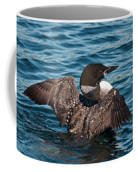 Brenda Coffee Mug featuring the photograph Spreading My Wings #1 by Brenda Jacobs