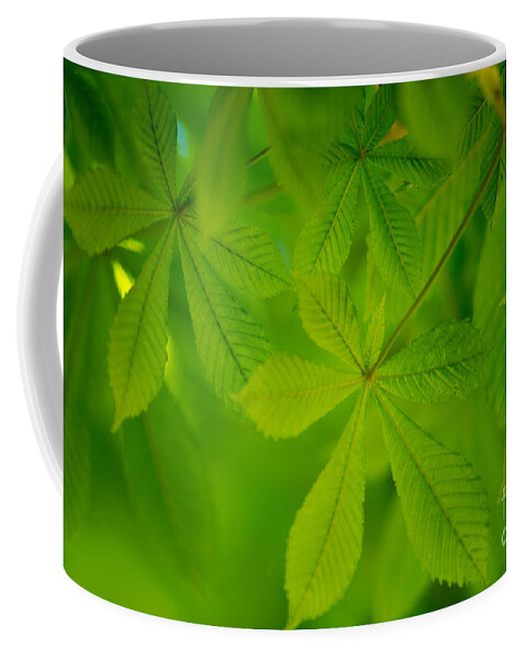 Conker Coffee Mug featuring the photograph Spring Green by Nailia Schwarz