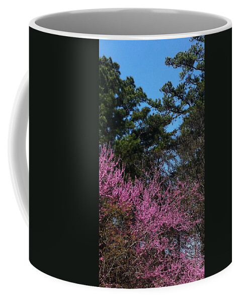 Blue Sky Coffee Mug featuring the photograph Spring Wisteria #1 by Kenny Glover