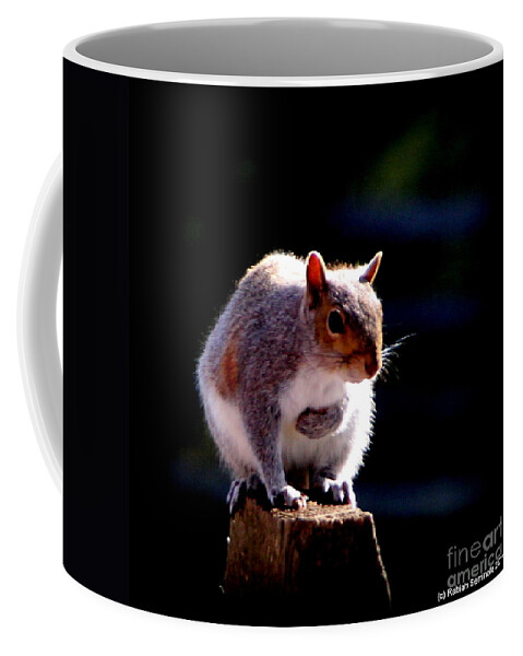 Animals Coffee Mug featuring the photograph Squirrel #1 by Rabiah Seminole