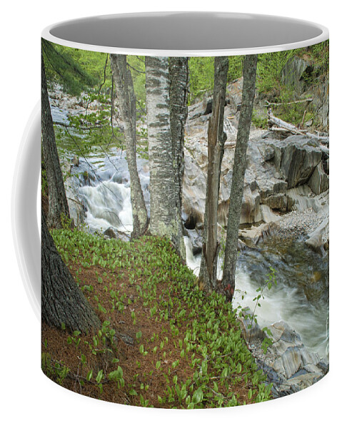 Stream Coffee Mug featuring the photograph Swift River by Alana Ranney