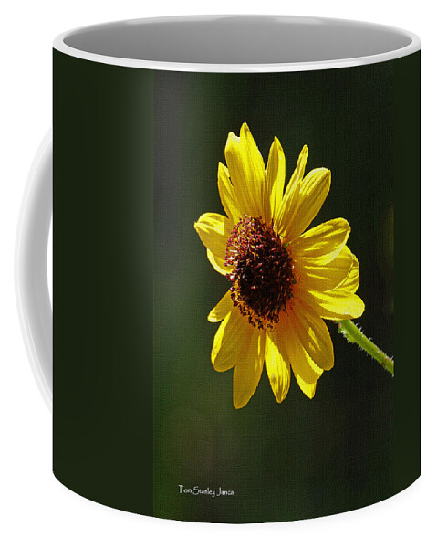 Sunflower Coffee Mug featuring the photograph Sunflower #1 by Tom Janca