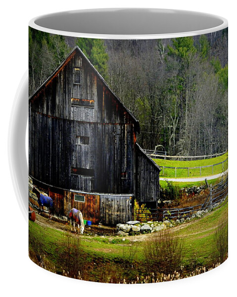 Horse Coffee Mug featuring the photograph The Horse Farm by Marysue Ryan