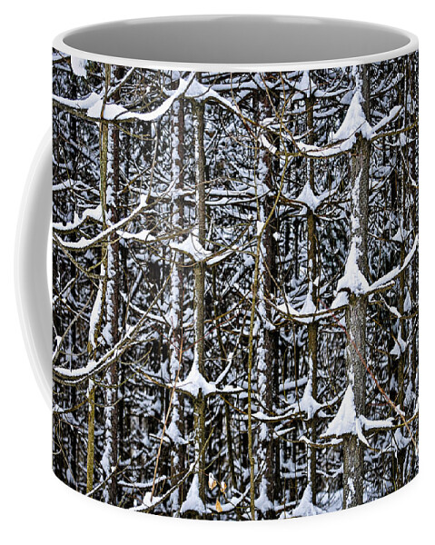 Winter Coffee Mug featuring the photograph Tree trunks in winter 1 by Elena Elisseeva
