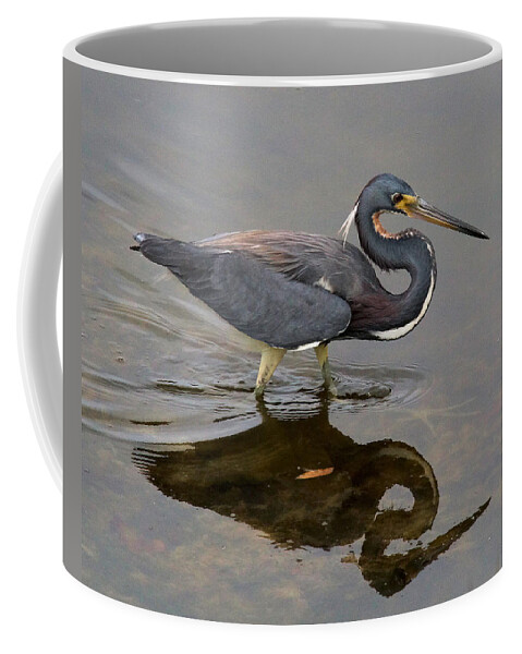 Tricolored Heron Coffee Mug featuring the photograph Tricolored Heron #1 by Doris Potter