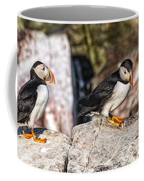 Atlantic Puffin Coffee Mug featuring the photograph Two Puffins #1 by Perla Copernik