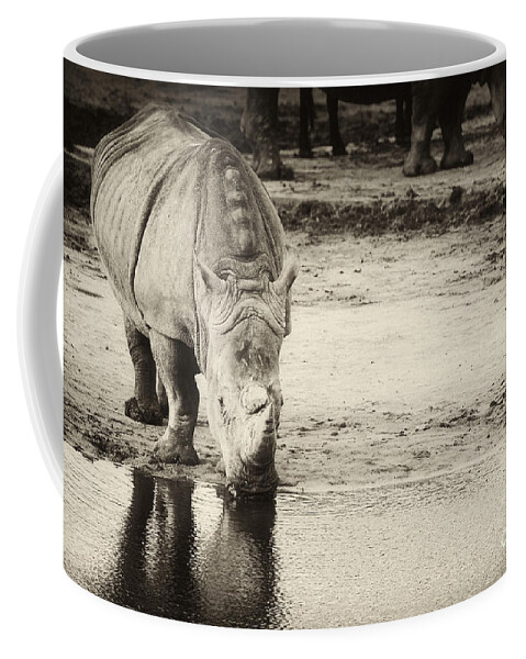 Africa Coffee Mug featuring the photograph Two White Rhinos by Nick Biemans