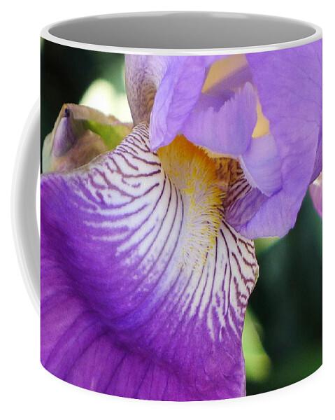 Violet Coffee Mug featuring the photograph Violet by Nora Boghossian
