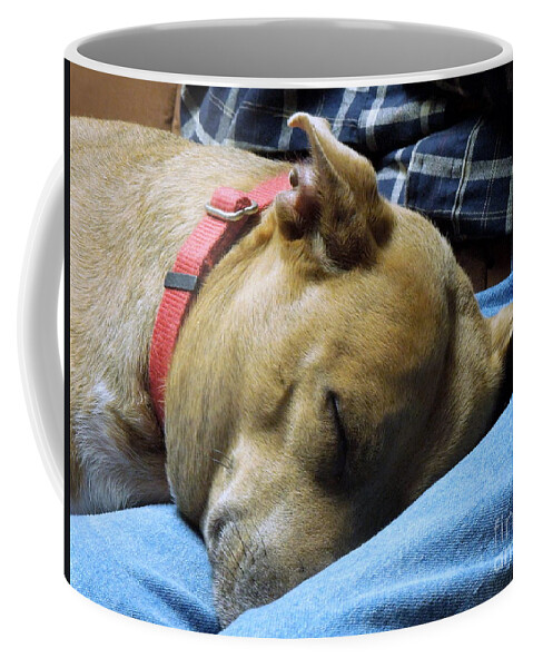 Dog Coffee Mug featuring the photograph Watching TV #1 by Renee Trenholm
