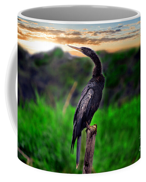 Anhinga Coffee Mug featuring the photograph Water Turkey by Gary Keesler