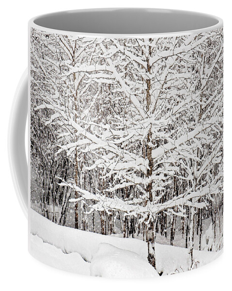 Winter Store Print Coffee Mug featuring the photograph Winter Storm Print by Gwen Gibson