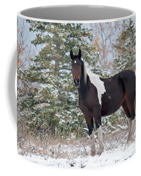 Nature Coffee Mug featuring the photograph Horse In Snow, Yukon, Canada #10 by Mark Newman