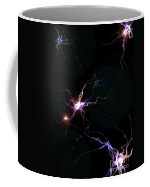Anatomical Model Coffee Mug featuring the photograph Neurons #10 by Science Picture Co