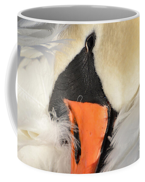 Swan Coffee Mug featuring the photograph Swan #10 by Mats Silvan
