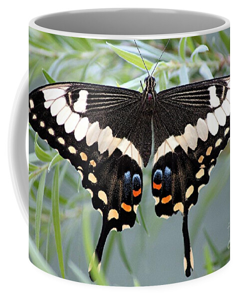 Butterfly Coffee Mug featuring the photograph Butterfly #11 by Diane Lesser