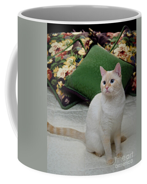 Blue Eyes Coffee Mug featuring the photograph Flame Point Siamese Cat #11 by Amy Cicconi