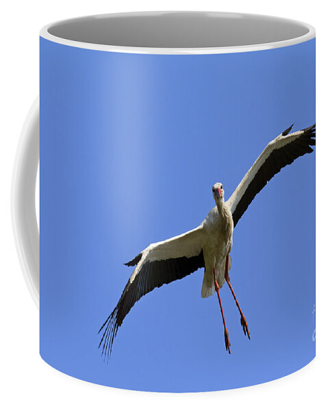White Stork Coffee Mug featuring the photograph 130201p267 by Arterra Picture Library