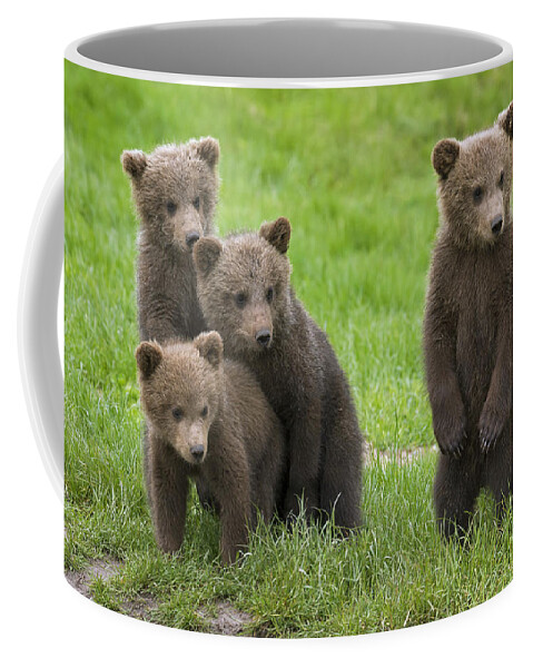 Four Coffee Mug featuring the photograph 131018p260 by Arterra Picture Library