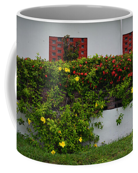 Flora Coffee Mug featuring the photograph 15- Garden Walk by Joseph Keane