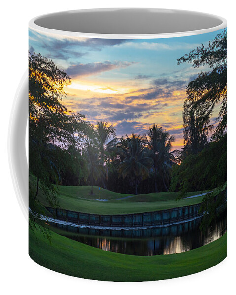 15th Hole Coffee Mug featuring the photograph 15th Green at Hollybrook by Ed Gleichman