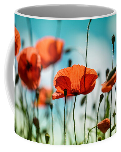 Poppy Coffee Mug featuring the photograph Poppy Meadow by Nailia Schwarz
