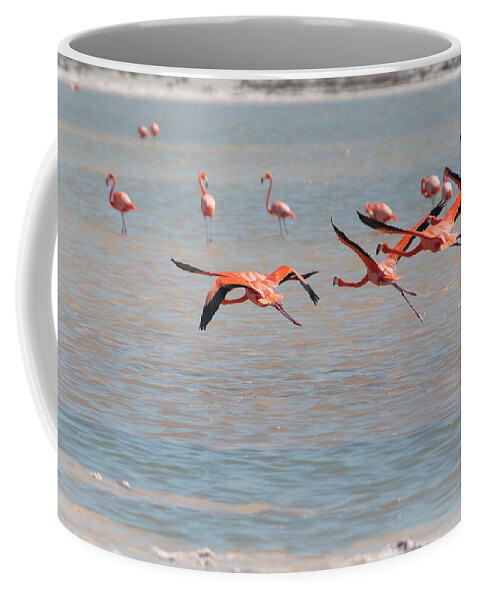 Mexico Yucatan Coffee Mug featuring the digital art Flamingos #18 by Carol Ailles