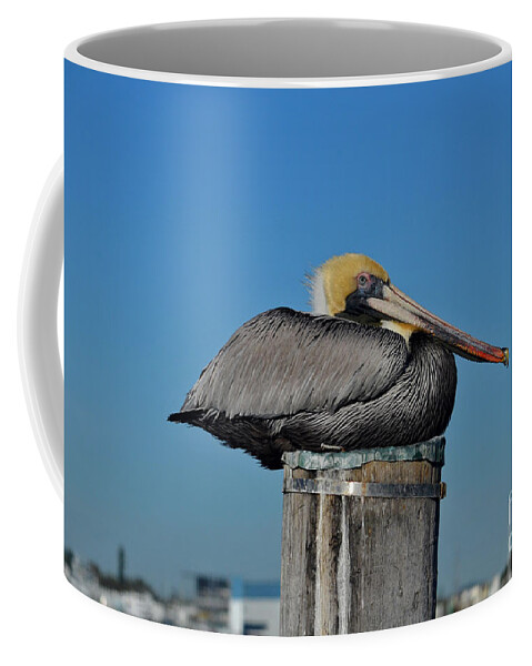 Pelican Coffee Mug featuring the photograph 18- Brown Pelican by Joseph Keane