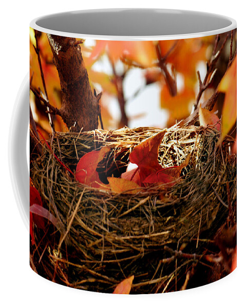 Autumn Coffee Mug featuring the photograph A Clutch of Color by Jason Politte