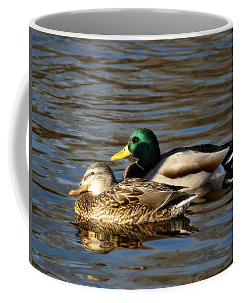 Wild Mallard Ducks Coffee Mug featuring the photograph A Pair of Mallard Ducks #2 by Thomas Young