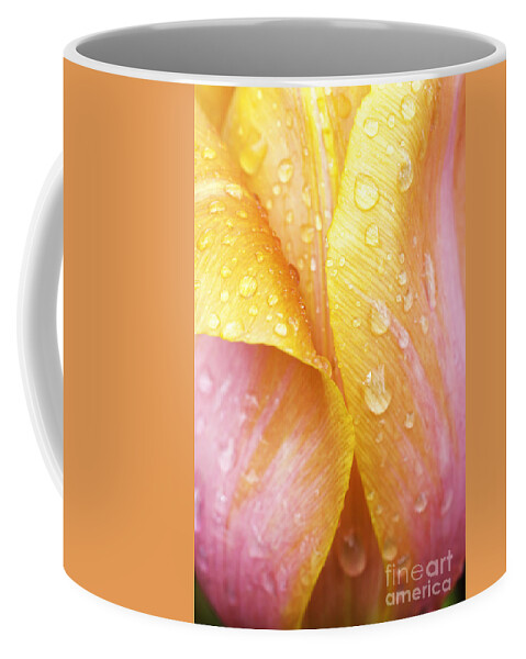 Tulip Coffee Mug featuring the photograph Abstract Tulip by Patty Colabuono